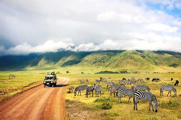 Voyage en Afrique